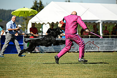 Brösel vom Lindelbrunn