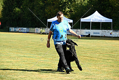 Brösel vom Lindelbrunn