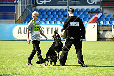 Broxx Canis Invictus