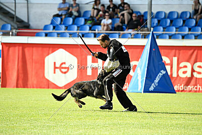 Broxx Canis Invictus