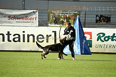 Broxx Canis Invictus
