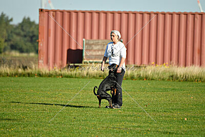 Brückendorfer Bonni