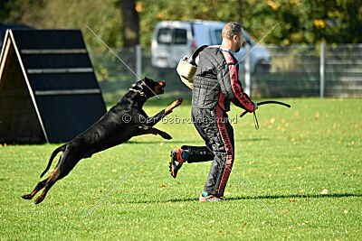 Brückendorfer Buster