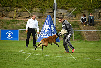 Bruno von der Killertalschanze