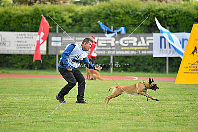 Buckcherry Fox Garden