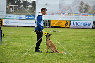 Buckcherry Fox Garden