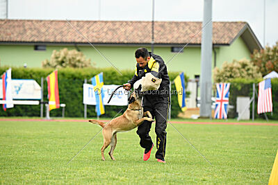 Buckcherry Fox Garden