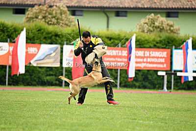 Buckcherry Fox Garden