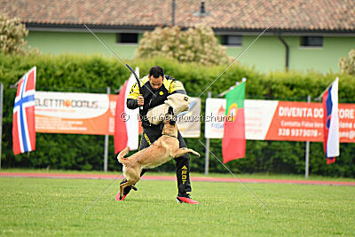 Buckcherry Fox Garden