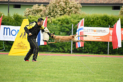 Buckcherry Fox Garden