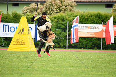 Buckcherry Fox Garden