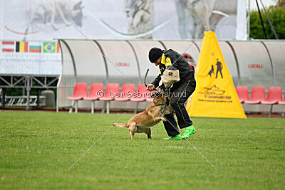 Buckcherry Fox Garden