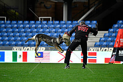 Bugsy from Korinthiakos