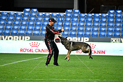 Bugsy from Korinthiakos