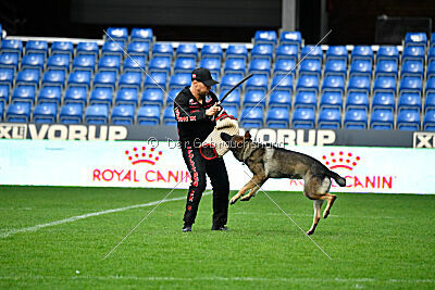 Bugsy from Korinthiakos