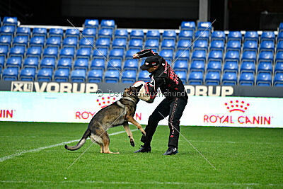 Bugsy from Korinthiakos