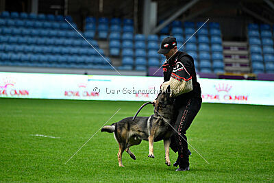 Bugsy from Korinthiakos
