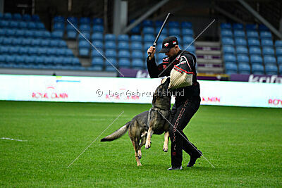 Bugsy from Korinthiakos