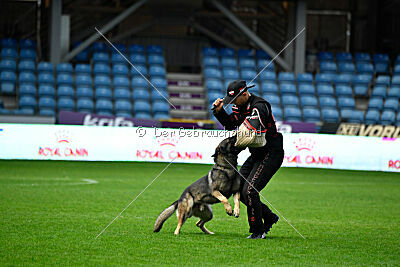 Bugsy from Korinthiakos