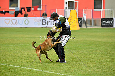 Bullet Mapet