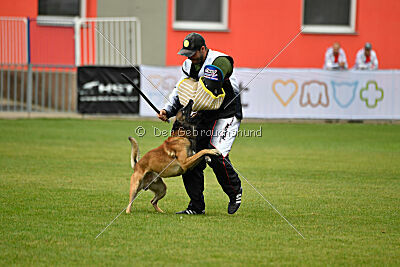 Bullet Mapet