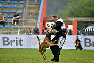 Bullet Mapet