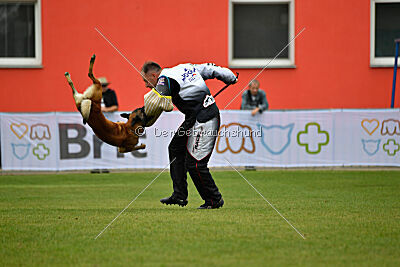 Bullet Mapet