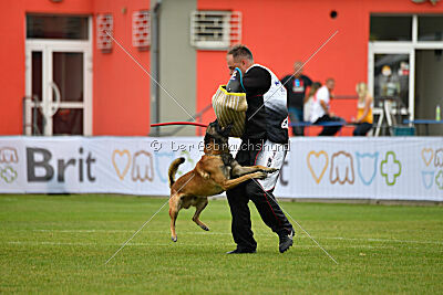 Bullet Mapet
