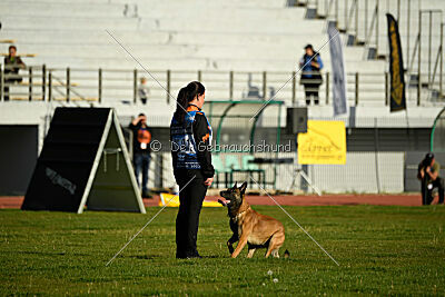 Bullet Mapet