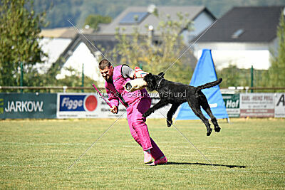 Bullit vom Lindelbrunn