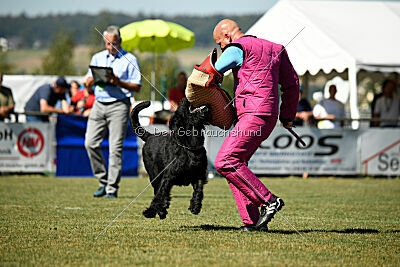 Bullit vom Lindelbrunn