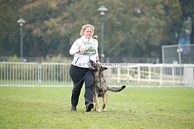 Bushido von Hund und Sport