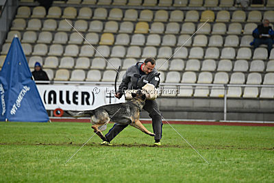 Bushido von Hund und Sport