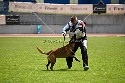 Butch de la Videmanette