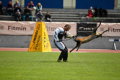 Butch de la Videmanette