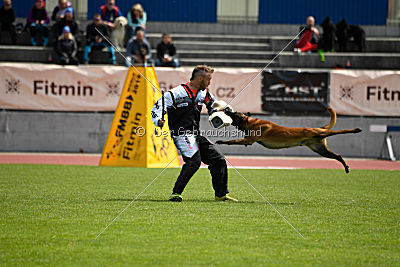 Butch de la Videmanette