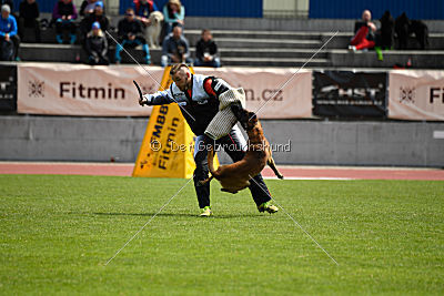 Butch de la Videmanette