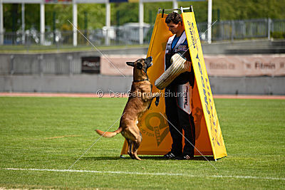 Butch de la Videmanette