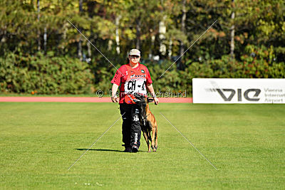 Butch de la Videmanette