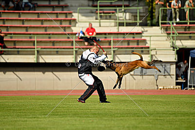 Butch de la Videmanette