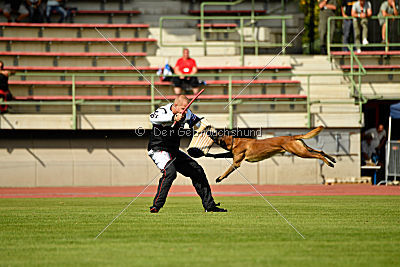 Butch de la Videmanette