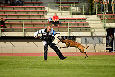 Butch de la Videmanette