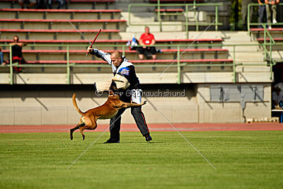 Butch de la Videmanette