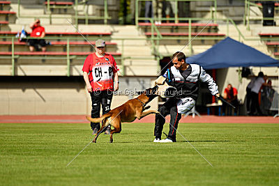 Butch de la Videmanette