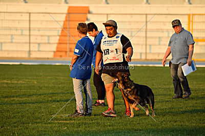 Butsch von der Schiffslache