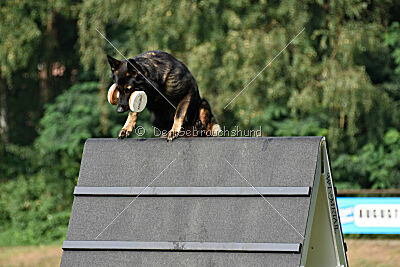 Butschsan vom Modderloch