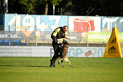 Butterfly vom Spiritus Lusitanus