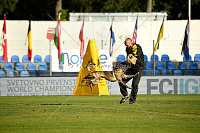 Butterfly vom Spiritus Lusitanus