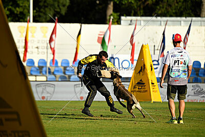 Butterfly vom Spiritus Lusitanus