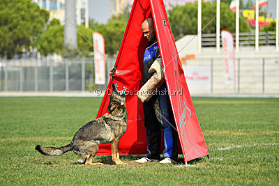 Byrka van Tiekerhook